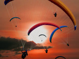 Paraglider